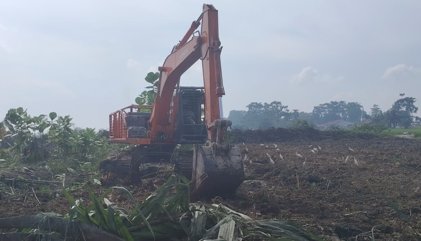 Proyek Cetak Sawah Rakyat di Sergai Diprotes Warga, Petani Khawatir Gagal Panen